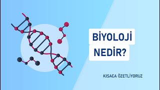 Biyoloji Nedir  Kısaca Özetleyin [upl. by Anyala980]