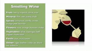 Wine Basics from My Wine Smarts [upl. by Troxell131]