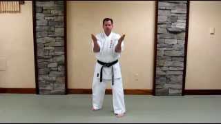 Uechi Ryu Sanchin Kata  Basic Study Guide [upl. by Ahsimak]