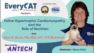 Feline Hypertrophic Cardiomyopathy and the Role of Nutrition [upl. by Staffard]