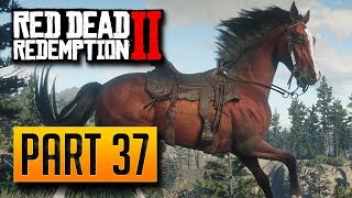 Red Dead Redemption 2  100 Walkthrough Part 37 Horse Herding PC [upl. by Camilla318]