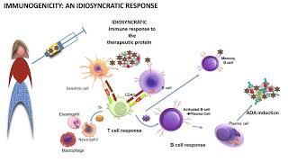 Immunogenicity explained in 6 minutes [upl. by Otokam177]