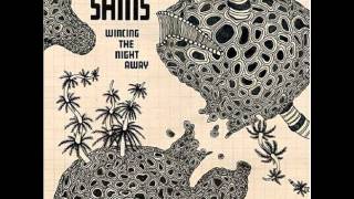 The Shins  Black Wave [upl. by Eelrihs358]