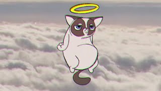 RIP Grumpy Cat [upl. by Chessa292]