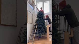 Set up our 12 foot tall Christmas tree with us 🎄 christmas holidays christmastree [upl. by Steffy]