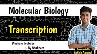 Transcription  Molecular Biology  Biochemistry lectures [upl. by Ffoeg]