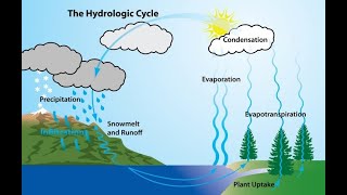 Understanding the Hydrological Cycle A Deep Dive [upl. by Ueihttam776]