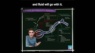 45 How does oncotic pressure and changes in big molecules cause lower extremity edema [upl. by Htelimay789]