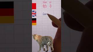 S058  How to write leopard in German amp Chinese 中文 英文 德文 三种语言一起写 Chinesisch English German [upl. by Arihas]