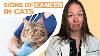 Signs of Cancer in Cats [upl. by Inimod]