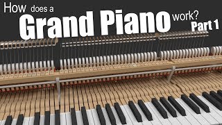 How does a Grand Piano work  Part 1 [upl. by Aisila]