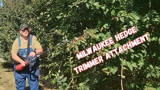 Is this Milwaukee hedge trimmer attachment worth buying Watch and see for yourself [upl. by Assilak]