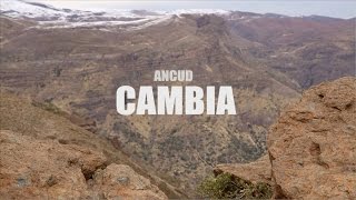 Ancud  Cambia lyric video [upl. by Goebel]