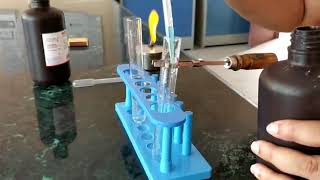 Fehlings test for carbohydrates [upl. by Nyhagen]