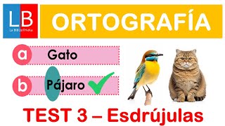 Test de ORTOGRAFÍA Palabras ESDRÚJULAS ✔👍 [upl. by Tehr]