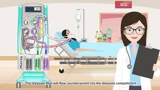 Prismaflex CRRT CVVHDF Modality [upl. by Lapham850]
