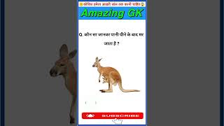 🎯GK India Questions  GK Sawal Jawab  GK in Hindi  GK Quiz shorts​ [upl. by Mindi699]