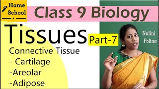 Tissues Part 4  Types of Connective Tissues Crash Course Anatomy amp Physiology 5 [upl. by Alwitt]