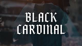 Black Cardinal  Title Sequence  Filmsupply Edit Fest  2024 Submission [upl. by Mir567]