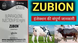 Zubion इंजेक्शन की संपूर्ण जानकारी  zubion injection uses in hindi  butalex injection Review [upl. by Ainitsirhc596]