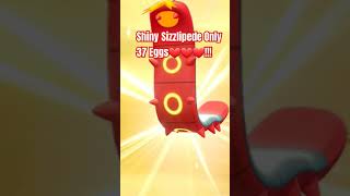 Shiny Sizzlipede only 37 Eggs Masuda and Shiny Charm [upl. by Eirrej]