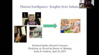 Liz Spelke Human Intelligence Insights from Infants [upl. by Ibbor]