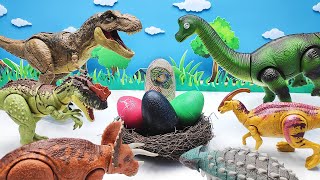 Whos Dinosaur Eggs Amazing Dino Egg Hatching [upl. by Zealand]