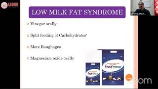 Low Milk Fat Syndrome [upl. by Khai313]