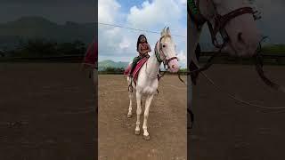 Dhruvi Horse 🐎 Riding  horse horses ghoda horseriding horselover ytvideo shortsfeed dhruhi [upl. by Tamas143]