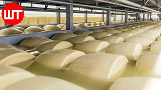 Modern Cheese Making Process That Youve Never Seen Before  Food Factory [upl. by Melville]