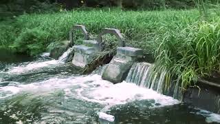 today in cassiobury park watford england [upl. by Nauwaj623]