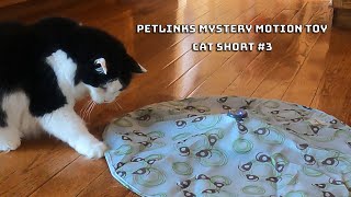 How to bring out your cats hunting instincts  Pet Links Mystery Motion Toy [upl. by Lleddaw]