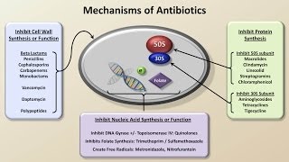 Mechanisms and Classification of Antibiotics Antibiotics  Lecture 3 [upl. by Sully]