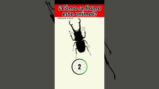 Desbloquea tus habilidades y adivina el animal👉Silueta 6 quiz [upl. by Aserej888]