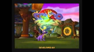 Spyro Enter the Dragonfly any speedrun in 10943 [upl. by Ajidahk]