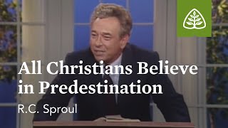 All Christians Believe in Predestination The Classic Collection with RC Sproul [upl. by Doxia]