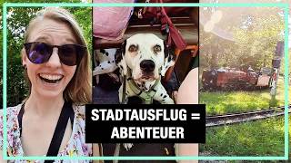 Shopping amp Bimmelbahn 🤩  Mit Hund in der Stadt  Abby lernt neues AlltagsKommando [upl. by Brenk]