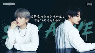 韓繁中字 BTS Jung Kook柾國  Stay Alive Prod SUGA of BTS ENG SUB [upl. by Kristian14]