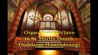 Toccata in C major by Georgi Mushel  Hauptwerk  Organ in Dudelange [upl. by Beller92]