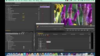 Adobe Premiere Pro  Auto Color Effect [upl. by Diskson]