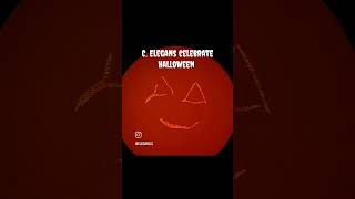 C elegans celebrate Halloween [upl. by Anitnauq]