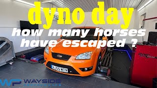 Focus st225 power runs on the dyno what will it make  WaysidePerformanceLtd [upl. by Nevaeh463]