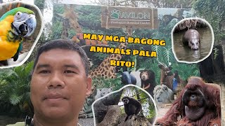 AVILON ZOO THE LARGEST ZOOLOGICAL PARK IN THE PHILIPPINES [upl. by Nwahsauq]