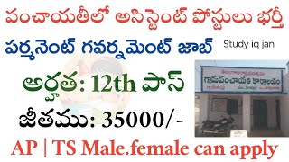 సచివాలయ అసిస్టెంట్ జాబ్స్102 అర్హత  Latest jobs in telugu  CLRI Recruitment 2024  Free Jobs [upl. by Friederike691]