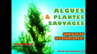 Algues amp plantes sauvages sontelles hygiénistes Fabien Moine [upl. by Maryjo572]