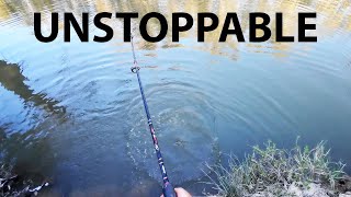 Unstoppable Murray Cod Fishing With Holly [upl. by Steward]