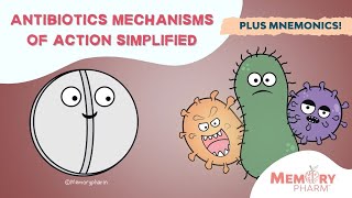 Antibiotic Classes Mnemonic Coverage Mechanism of Action Pharmacology Made Easy [upl. by Dijam]