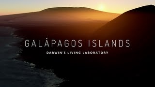 Explore the Galapagos Islands with Google Maps [upl. by Aillicec]