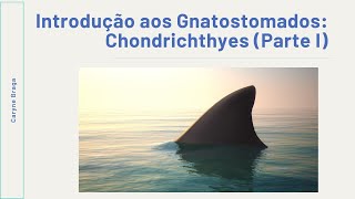 Introdução aos Gnatostomados Chondrichthyes Parte I [upl. by Onia]