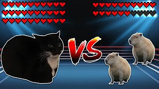 Giant Maxwell cat vs two Capybaras Meme battle [upl. by Elohc]